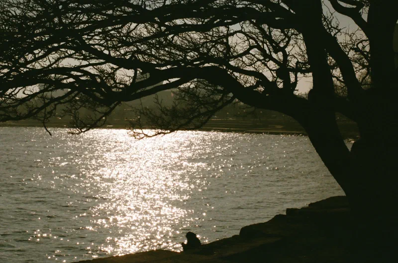 Promontory Point