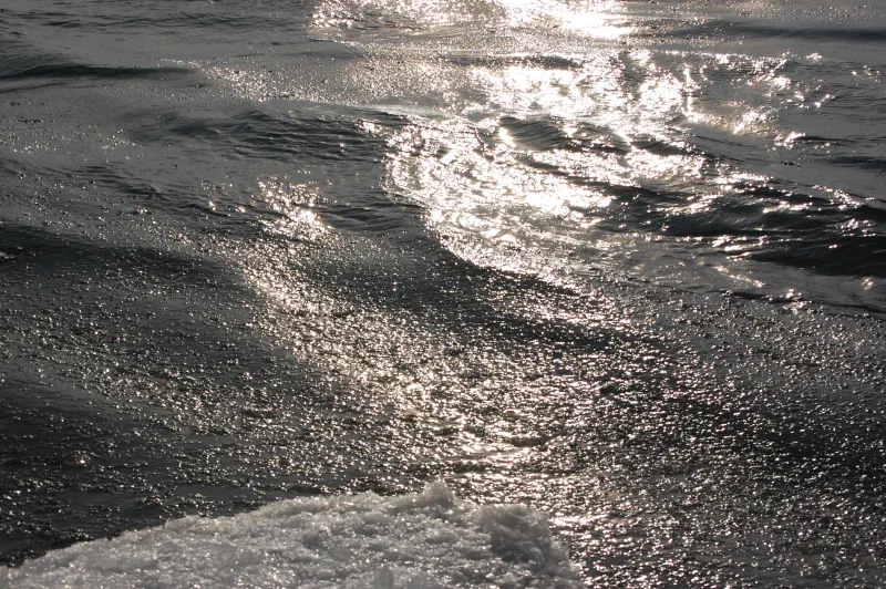 Sunlight glinting off waves on the lakeshore